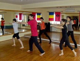 sedinte tae bo sibiu